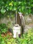 Garden pump on Lanark Rd